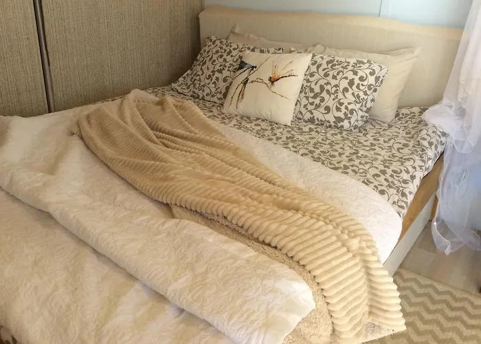 Micro House Hotell La Oliva